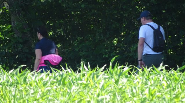 Singels en Essen wandeltocht (zondag 12 juni 2022)